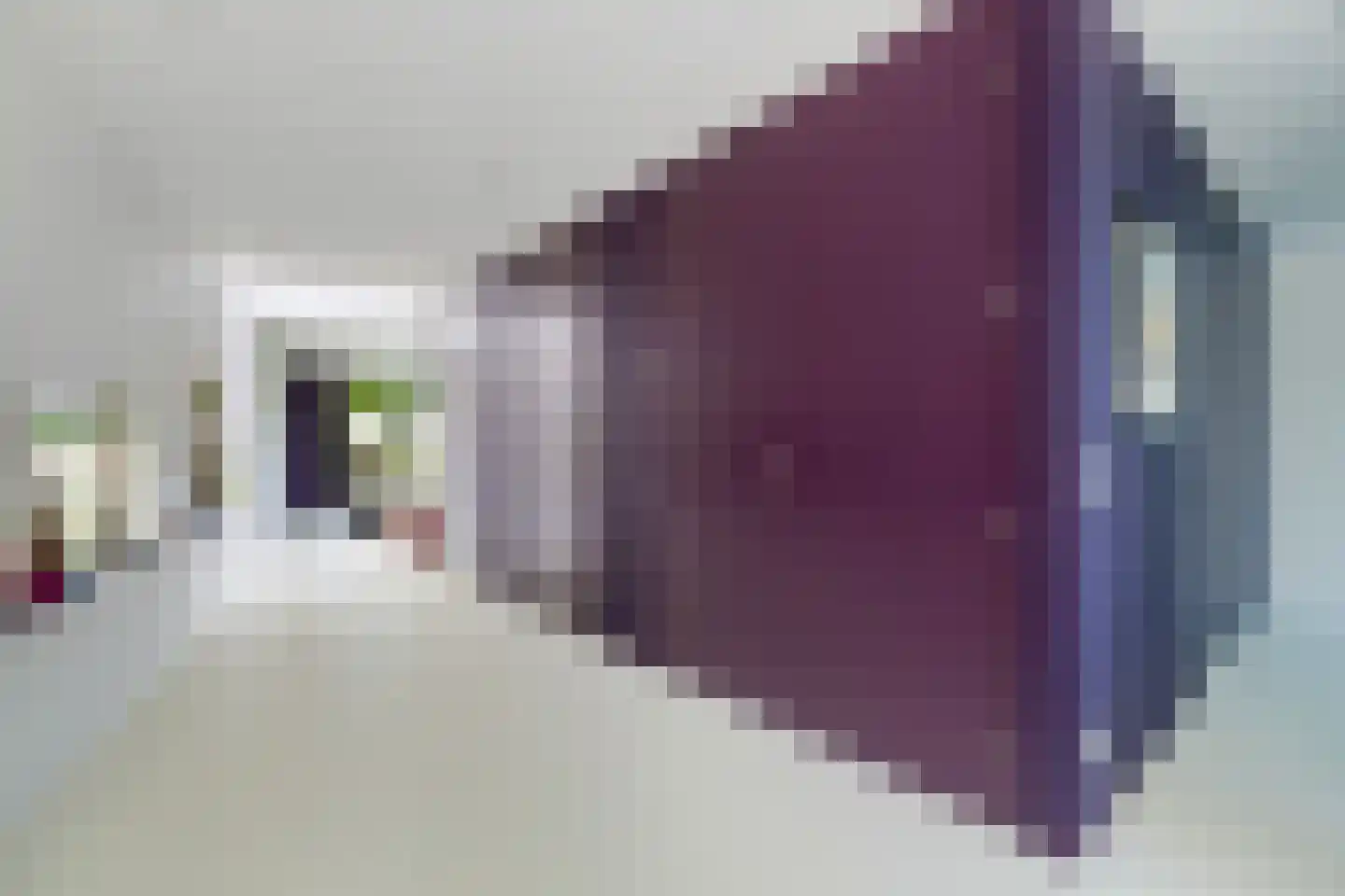 Lisdoddelaan 137 Amsterdam thumbnail 13