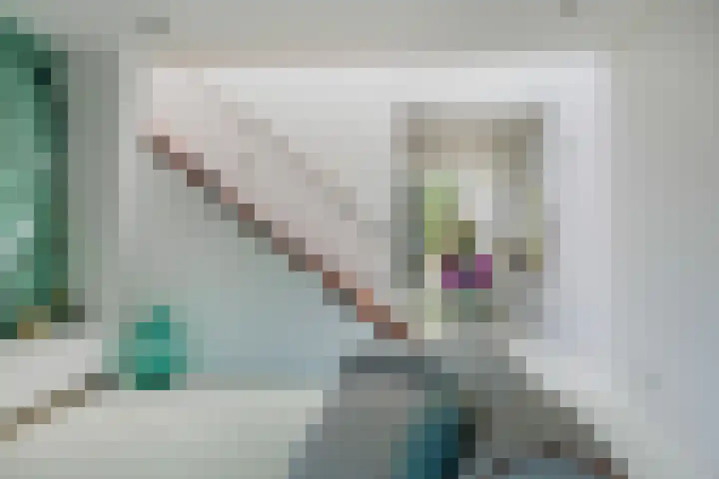 Lisdoddelaan 137 Amsterdam thumbnail 15