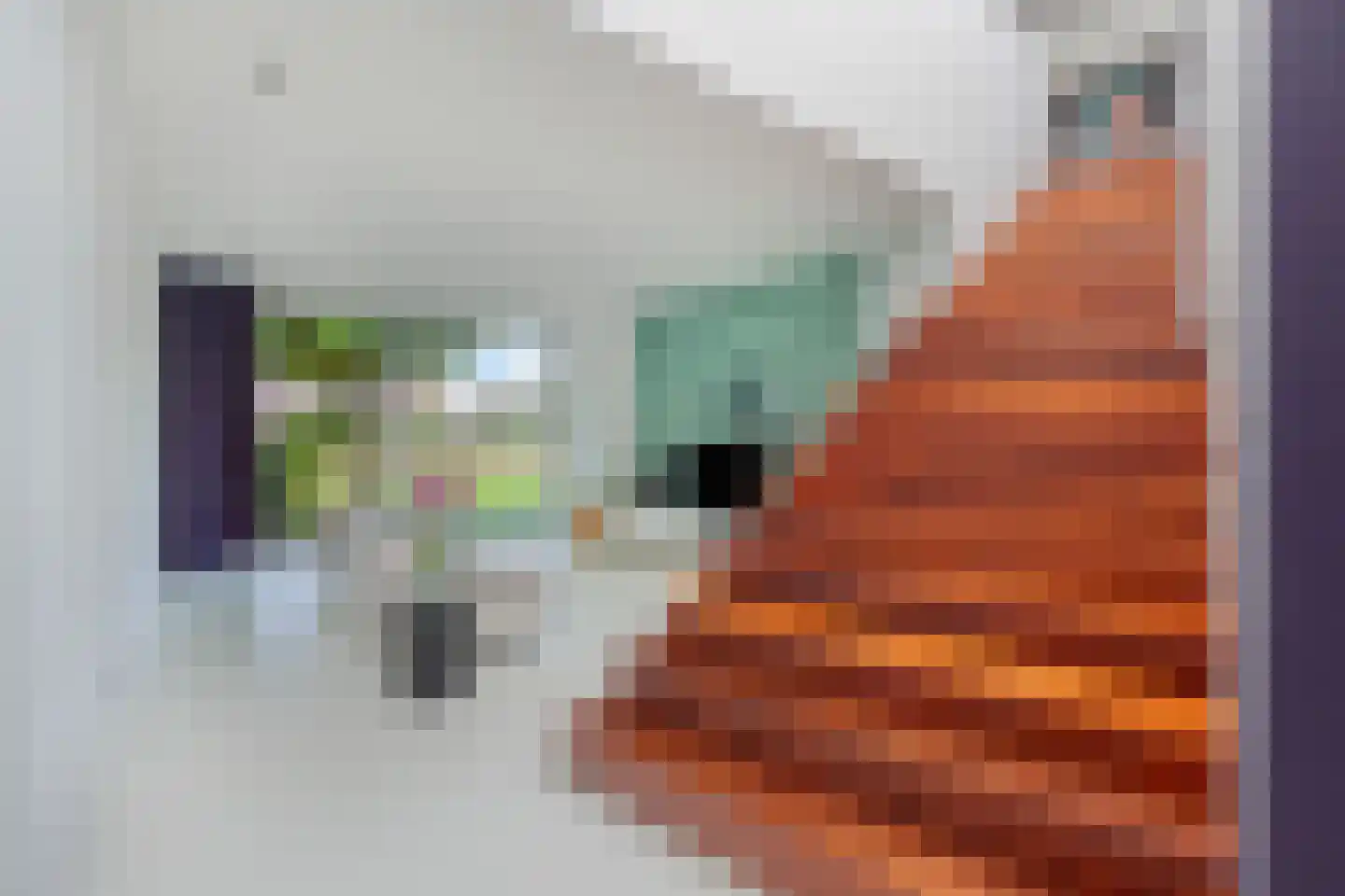 Lisdoddelaan 137 Amsterdam thumbnail 16