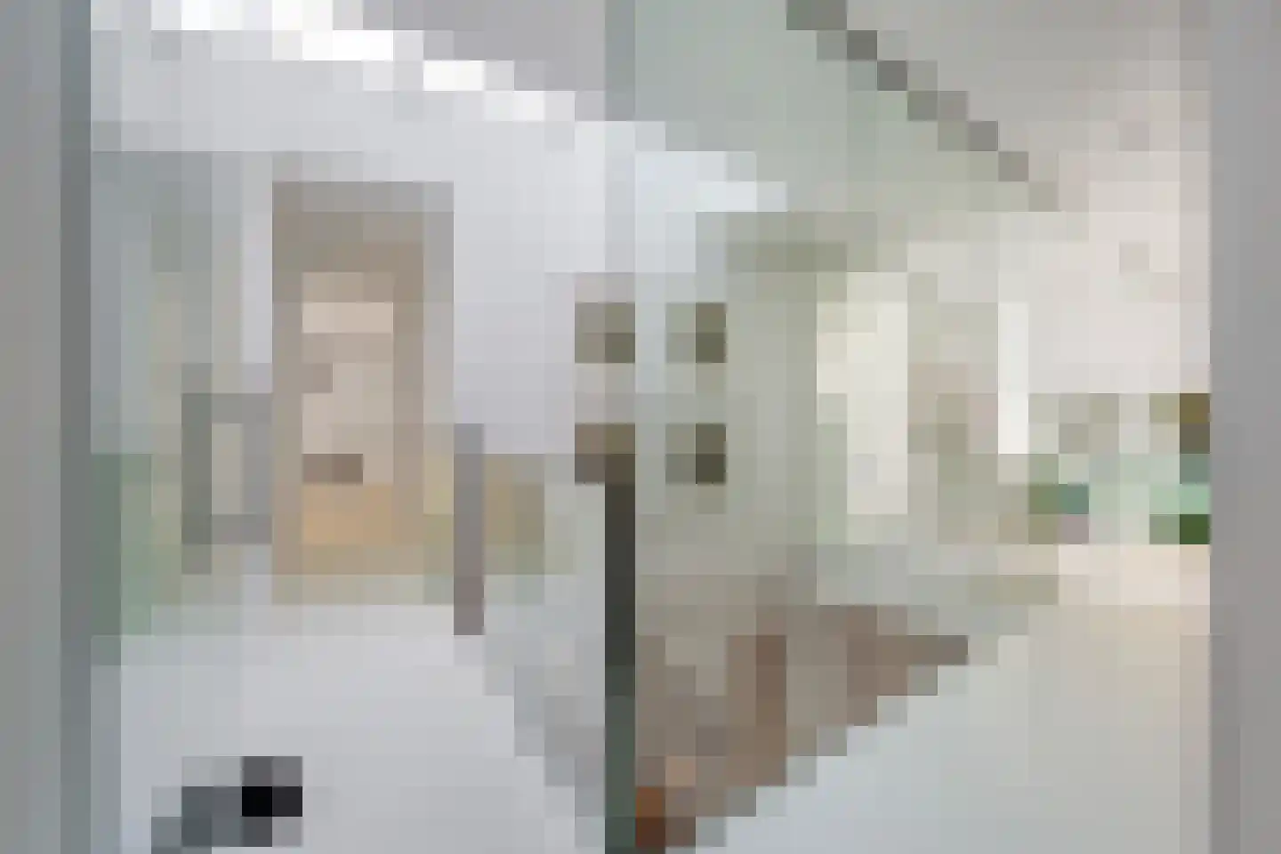 Lisdoddelaan 137 Amsterdam thumbnail 19