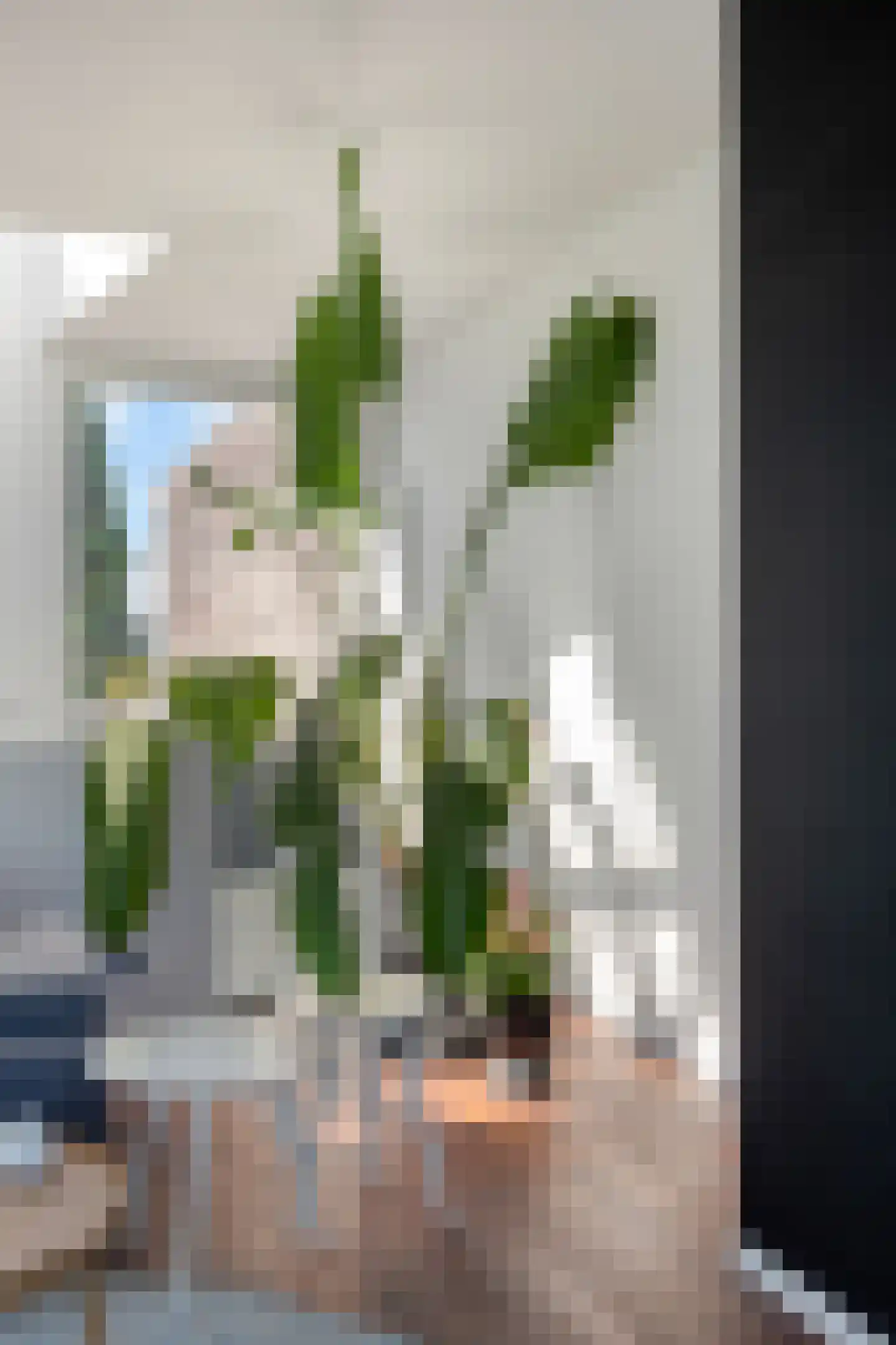 Lisdoddelaan 137 Amsterdam thumbnail 24