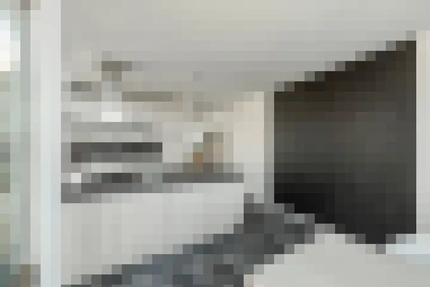 Lisdoddelaan 137 Amsterdam thumbnail 29