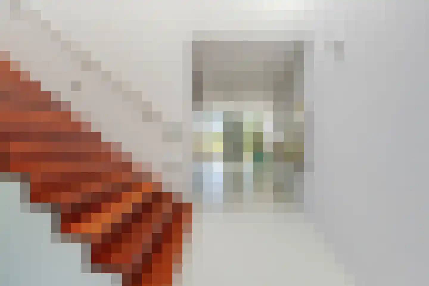Lisdoddelaan 137 Amsterdam thumbnail 36