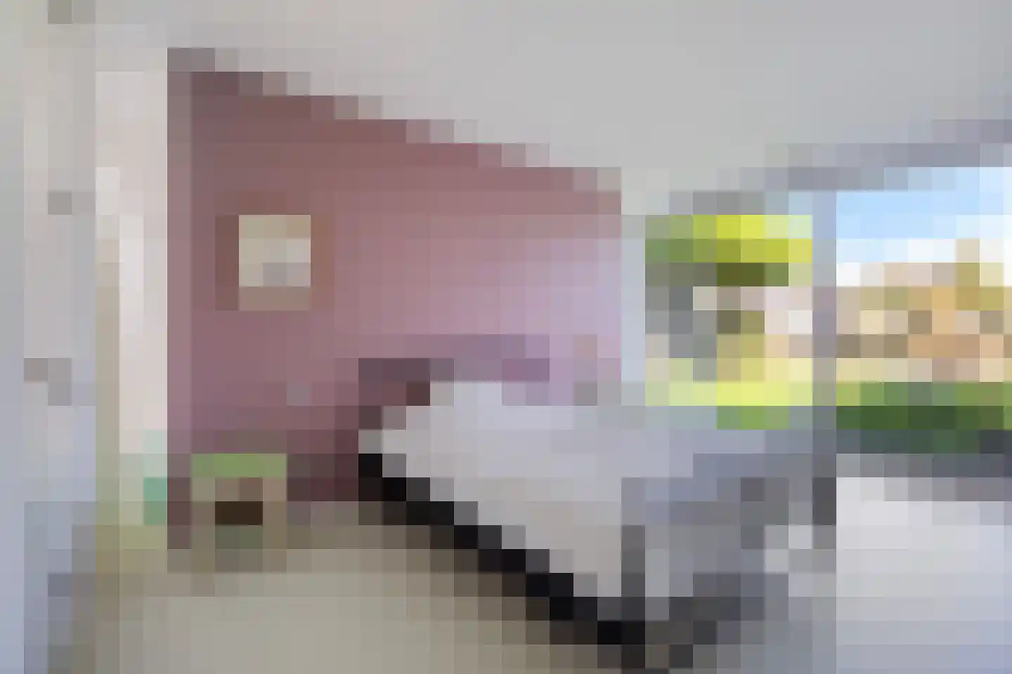 Lisdoddelaan 137 Amsterdam thumbnail 46