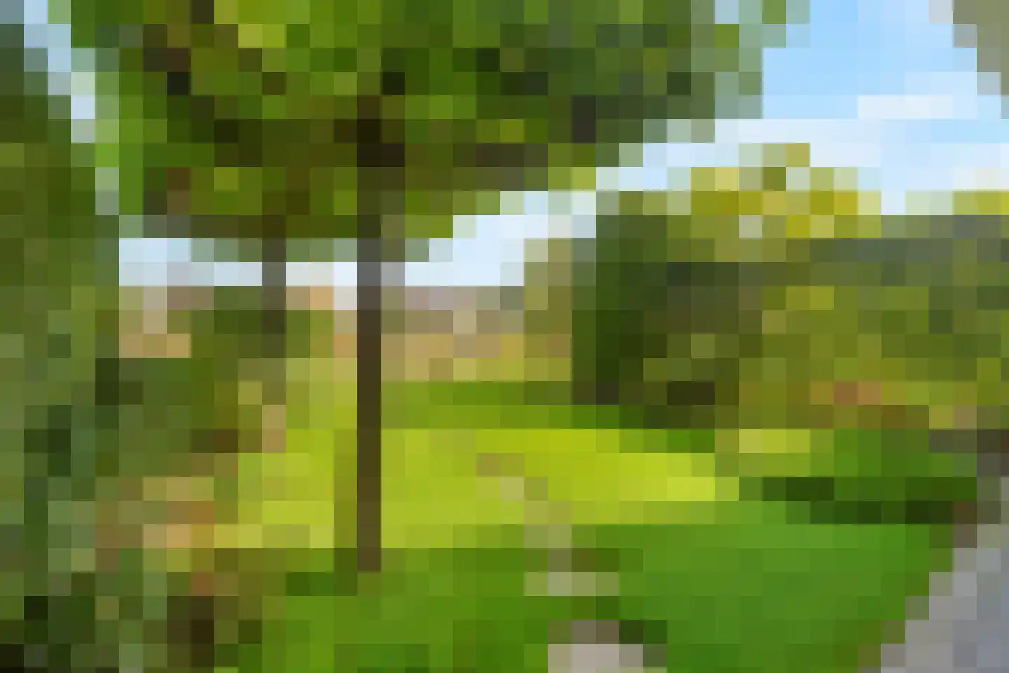 Lisdoddelaan 137 Amsterdam thumbnail 59