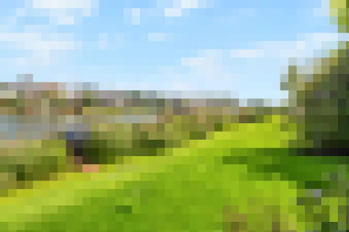 Lisdoddelaan 137 Amsterdam thumbnail 62