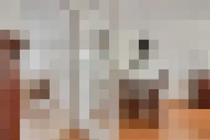 Lisdoddelaan 16 Enschede thumbnail 15