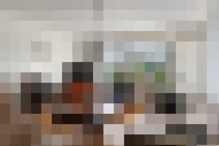 Lisdoddelaan 16 Enschede thumbnail 16