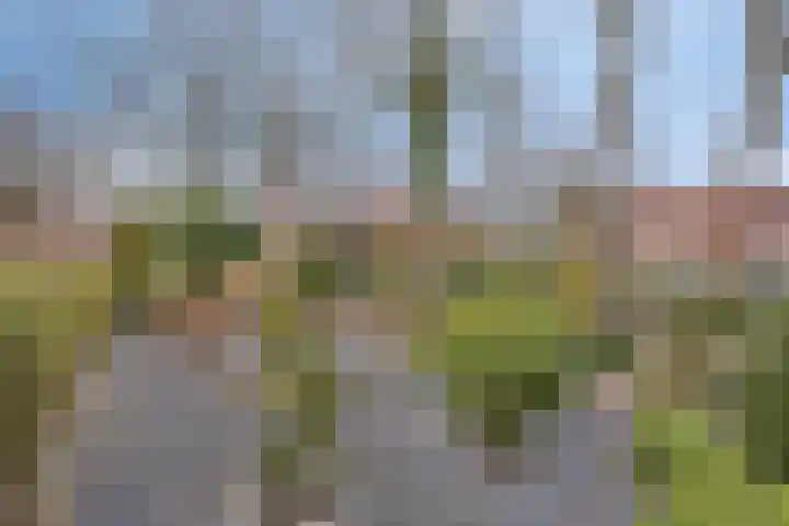 Lisdoddelaan 16 Enschede thumbnail 36