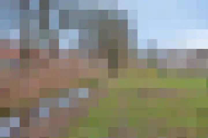 Lisdoddelaan 16 Enschede thumbnail 38