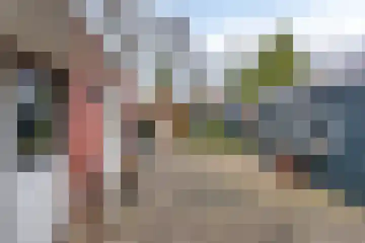 Lisdoddelaan 16 Enschede thumbnail 4