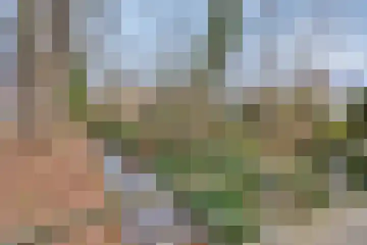 Lisdoddelaan 16 Enschede thumbnail 40
