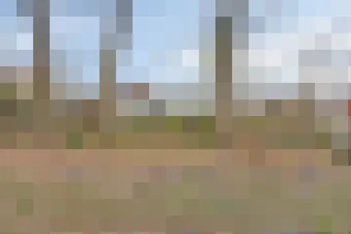 Lisdoddelaan 16 Enschede thumbnail 41