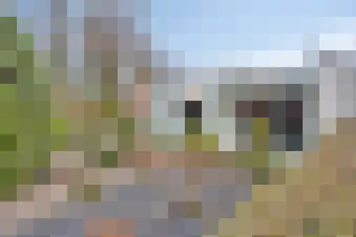 Lisdoddelaan 16 Enschede thumbnail 6