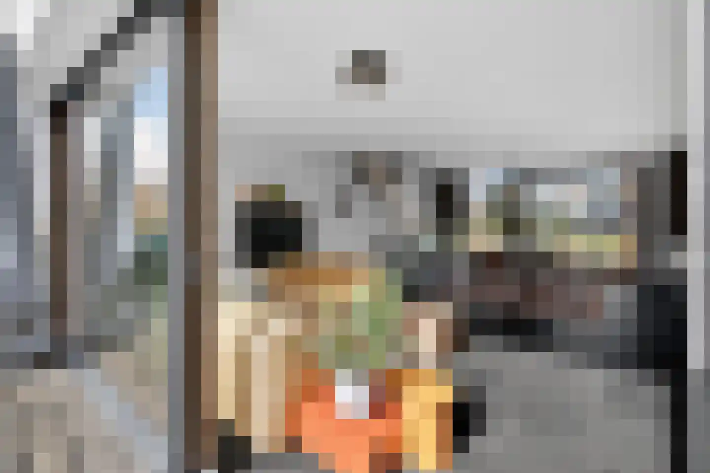 Lisdoddelaan 17 Amsterdam thumbnail 16