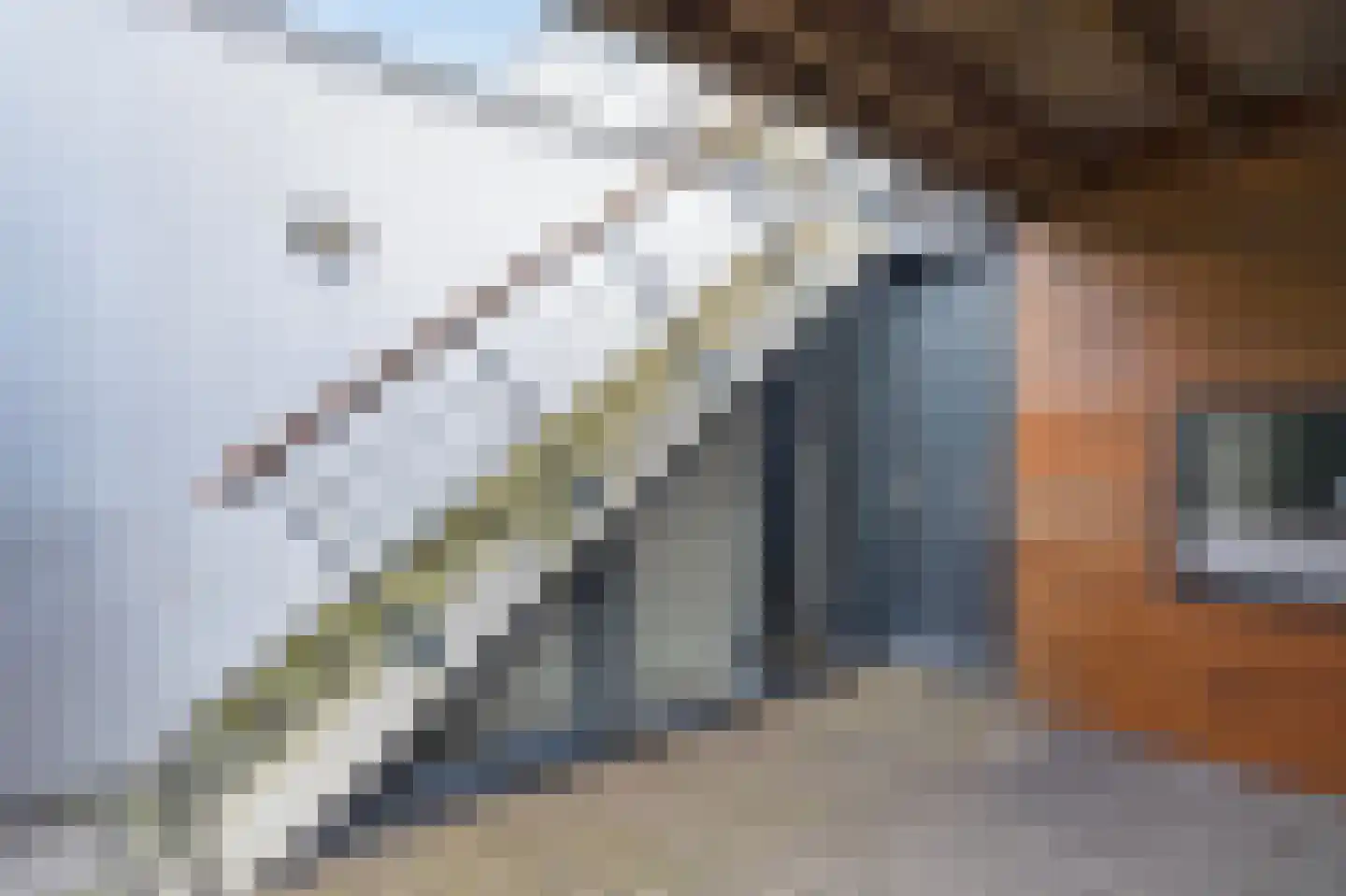 Lisdoddelaan 17 Amsterdam thumbnail 23