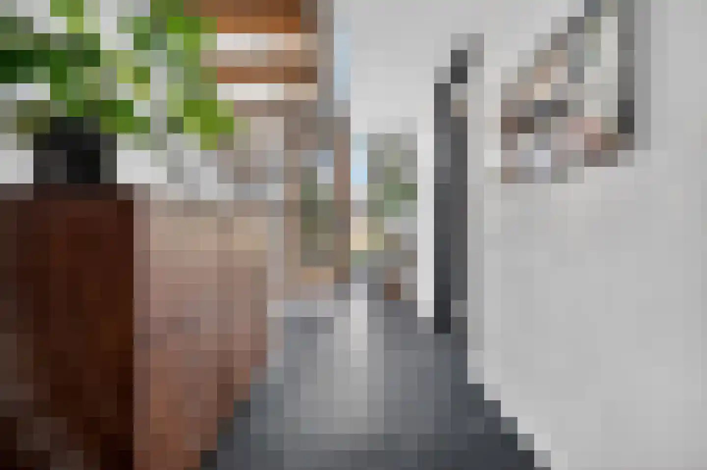 Lisdoddelaan 17 Amsterdam thumbnail 25