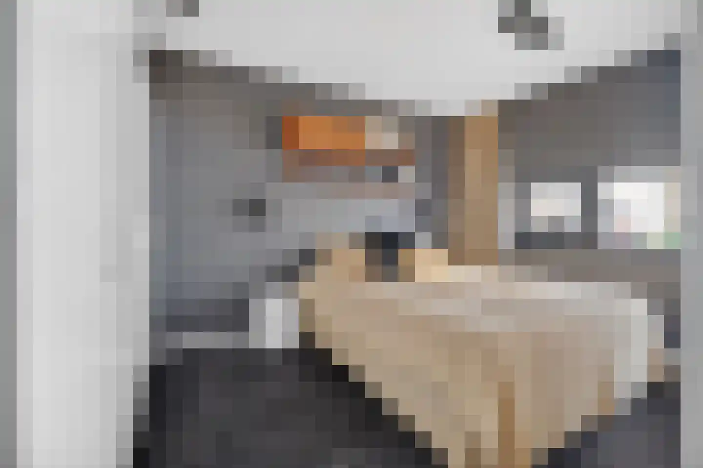 Lisdoddelaan 17 Amsterdam thumbnail 27