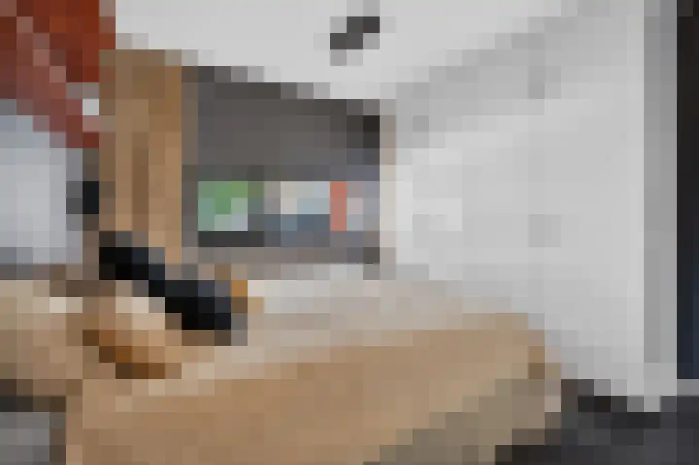Lisdoddelaan 17 Amsterdam thumbnail 28