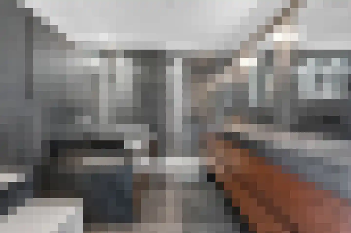 Lisdoddelaan 17 Amsterdam thumbnail 29