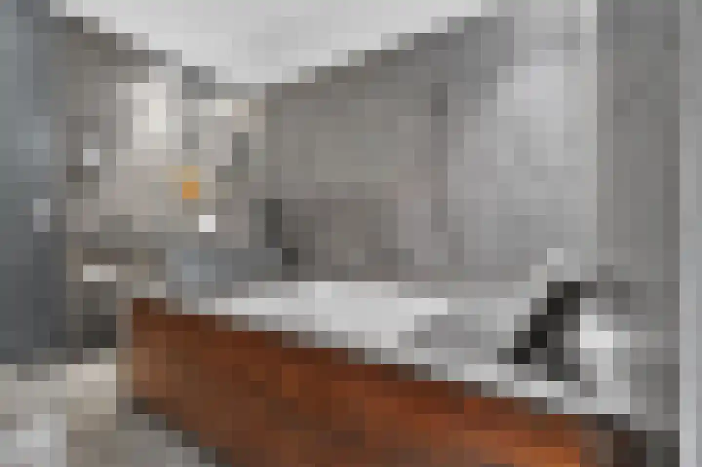 Lisdoddelaan 17 Amsterdam thumbnail 30