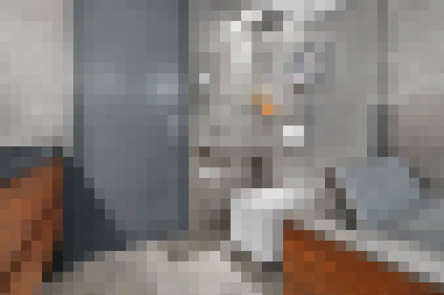 Lisdoddelaan 17 Amsterdam thumbnail 31