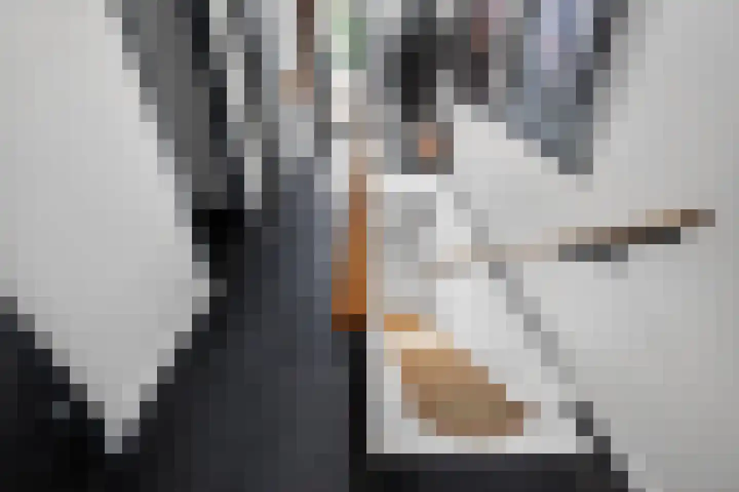 Lisdoddelaan 17 Amsterdam thumbnail 34
