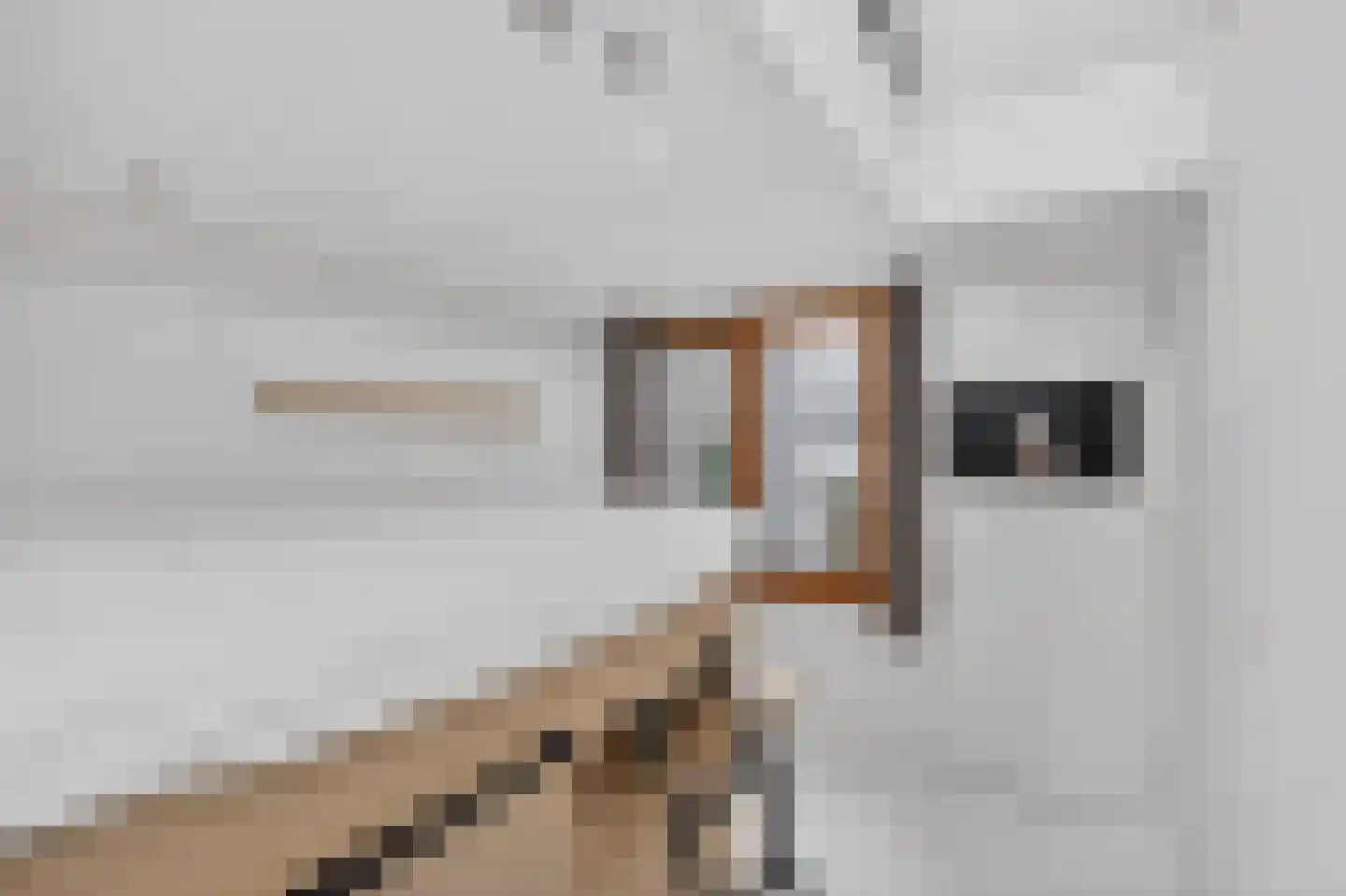 Lisdoddelaan 17 Amsterdam thumbnail 35