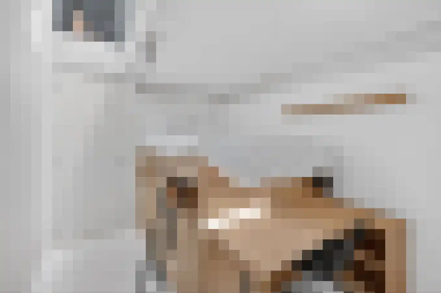 Lisdoddelaan 17 Amsterdam thumbnail 36