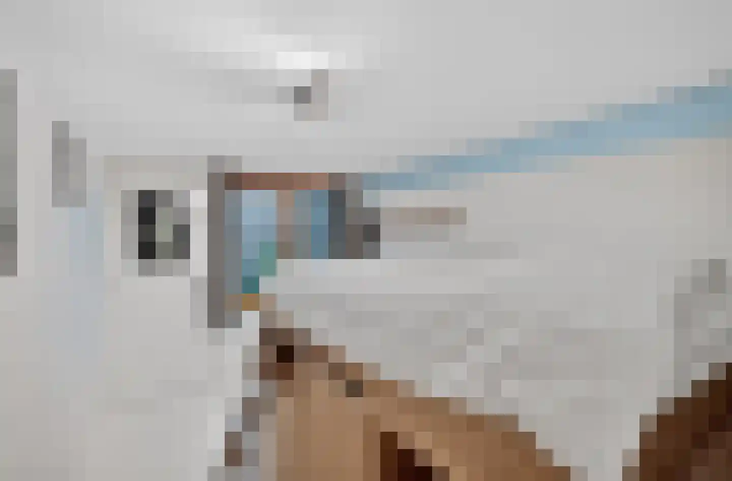 Lisdoddelaan 17 Amsterdam thumbnail 40