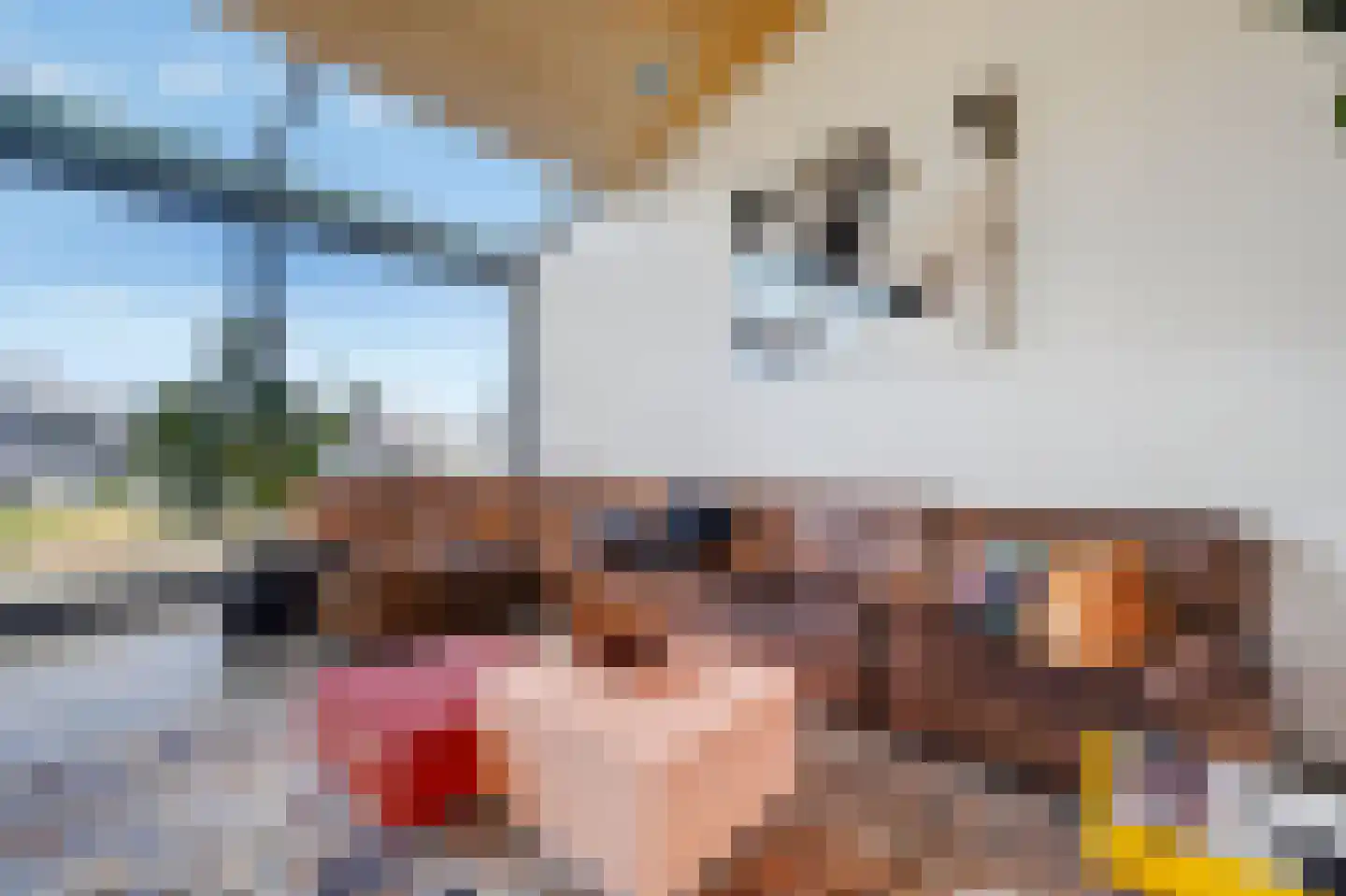 Lisdoddelaan 17 Amsterdam thumbnail 7