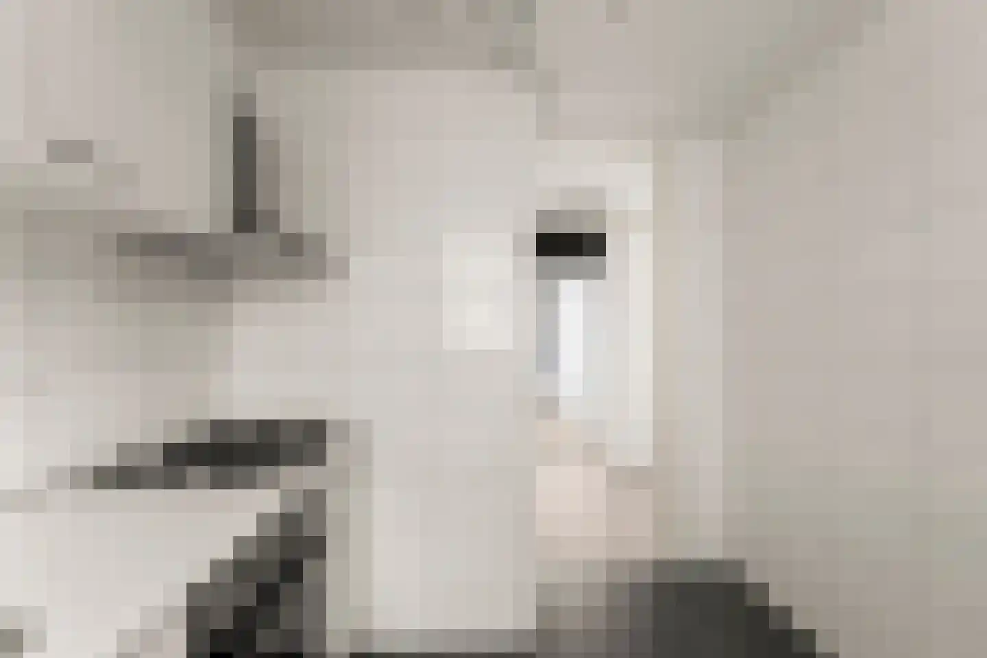 Lisdoddelaan 2 2 Arnhem thumbnail 13
