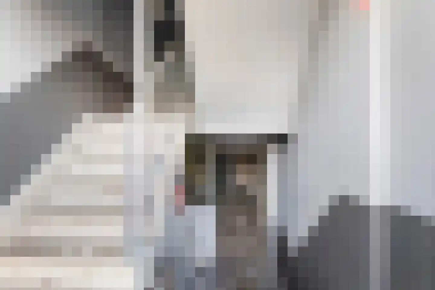 Lisdoddelaan 2 2 Arnhem thumbnail 24