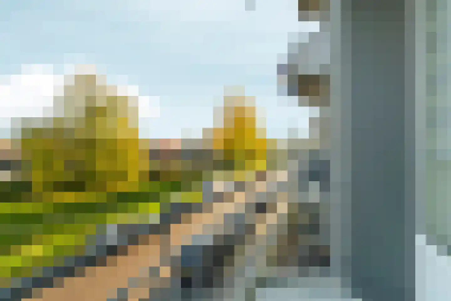 Lisdoddelaan 2 2 Arnhem thumbnail 8