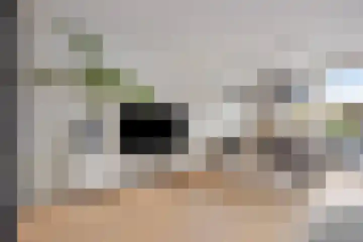 Lisdoddelaan 27 Leerdam thumbnail 10