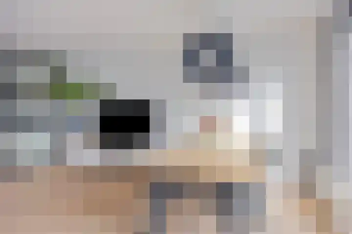 Lisdoddelaan 27 Leerdam thumbnail 12