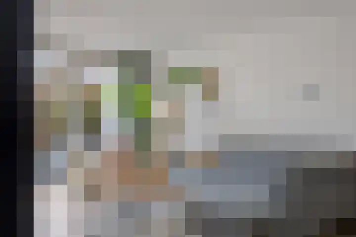 Lisdoddelaan 27 Leerdam thumbnail 13