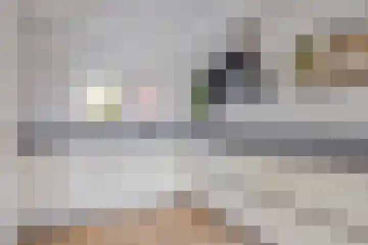 Lisdoddelaan 27 Leerdam thumbnail 14