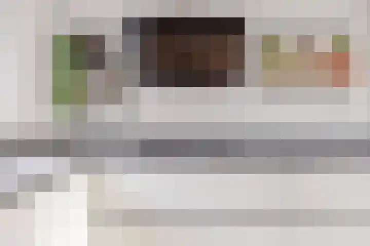 Lisdoddelaan 27 Leerdam thumbnail 16