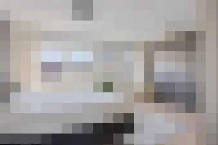 Lisdoddelaan 27 Leerdam thumbnail 18