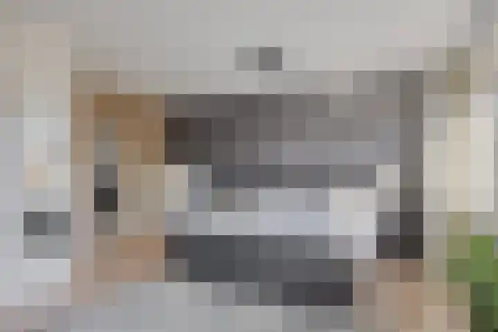 Lisdoddelaan 27 Leerdam thumbnail 19