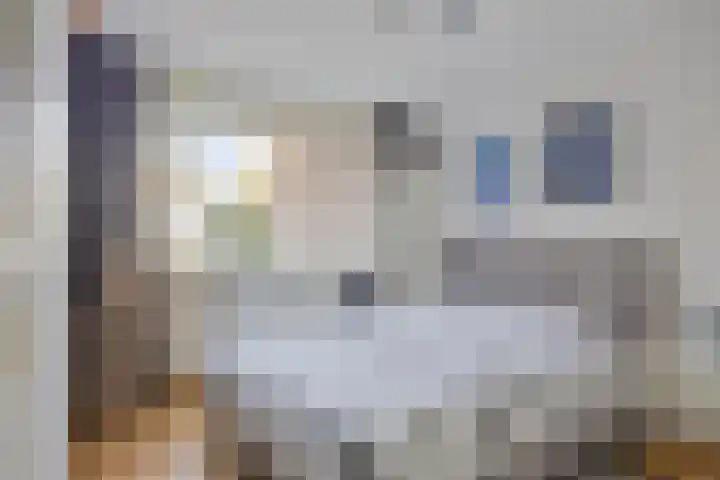 Lisdoddelaan 27 Leerdam thumbnail 21