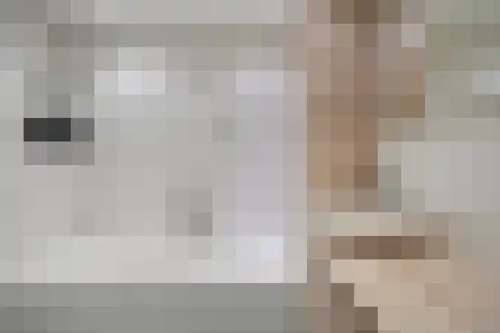 Lisdoddelaan 27 Leerdam thumbnail 22