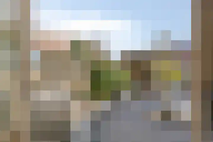 Lisdoddelaan 27 Leerdam thumbnail 32