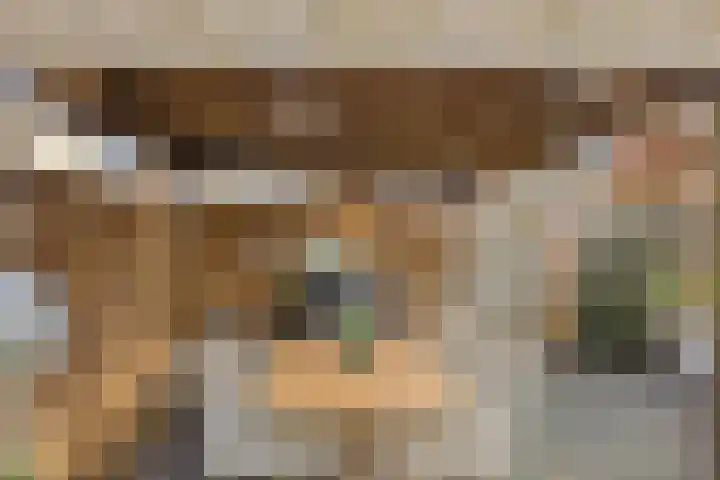 Lisdoddelaan 27 Leerdam thumbnail 35