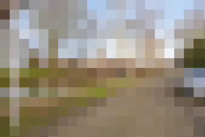 Lisdoddelaan 27 Leerdam thumbnail 38