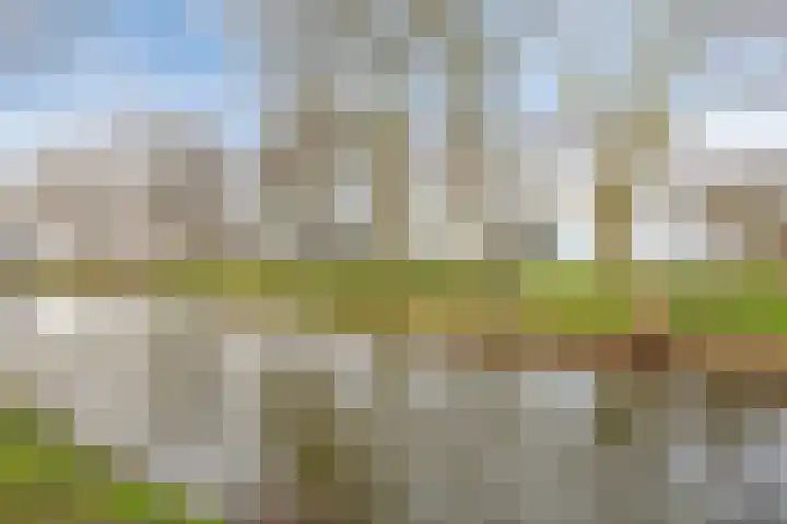 Lisdoddelaan 27 Leerdam thumbnail 39