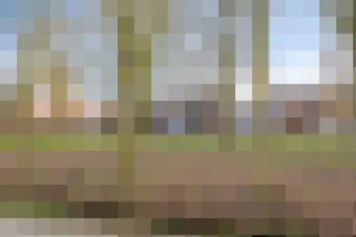 Lisdoddelaan 27 Leerdam thumbnail 40