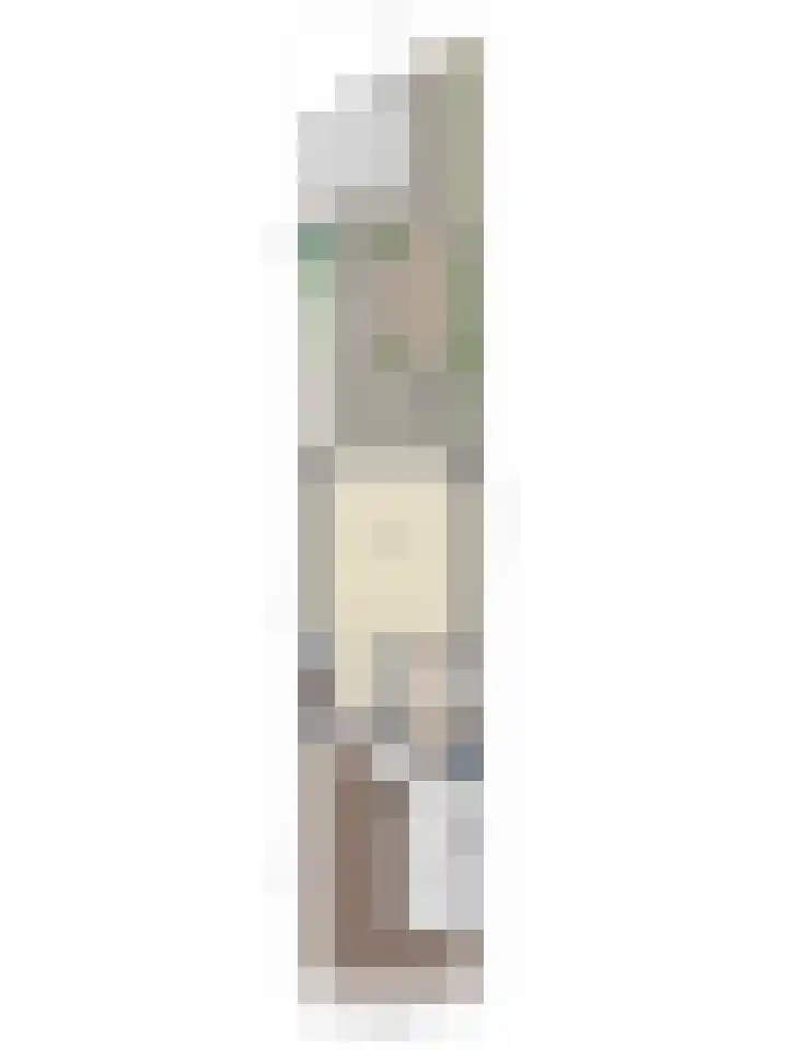 Lisdoddelaan 27 Leerdam thumbnail 41