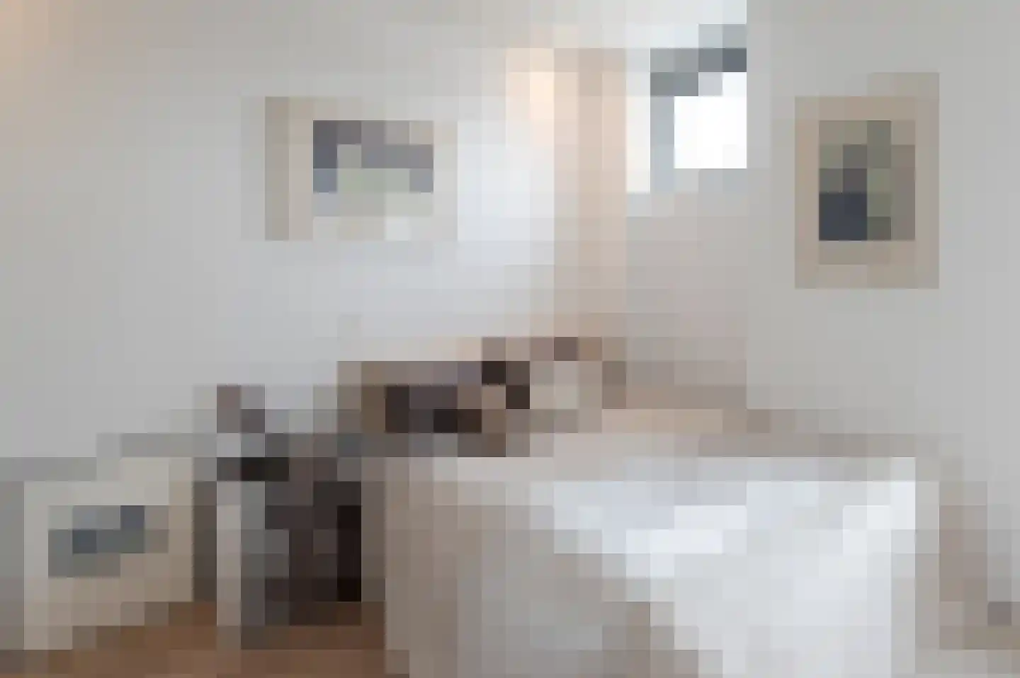 Lisdoddelaan 36 Amsterdam thumbnail 26